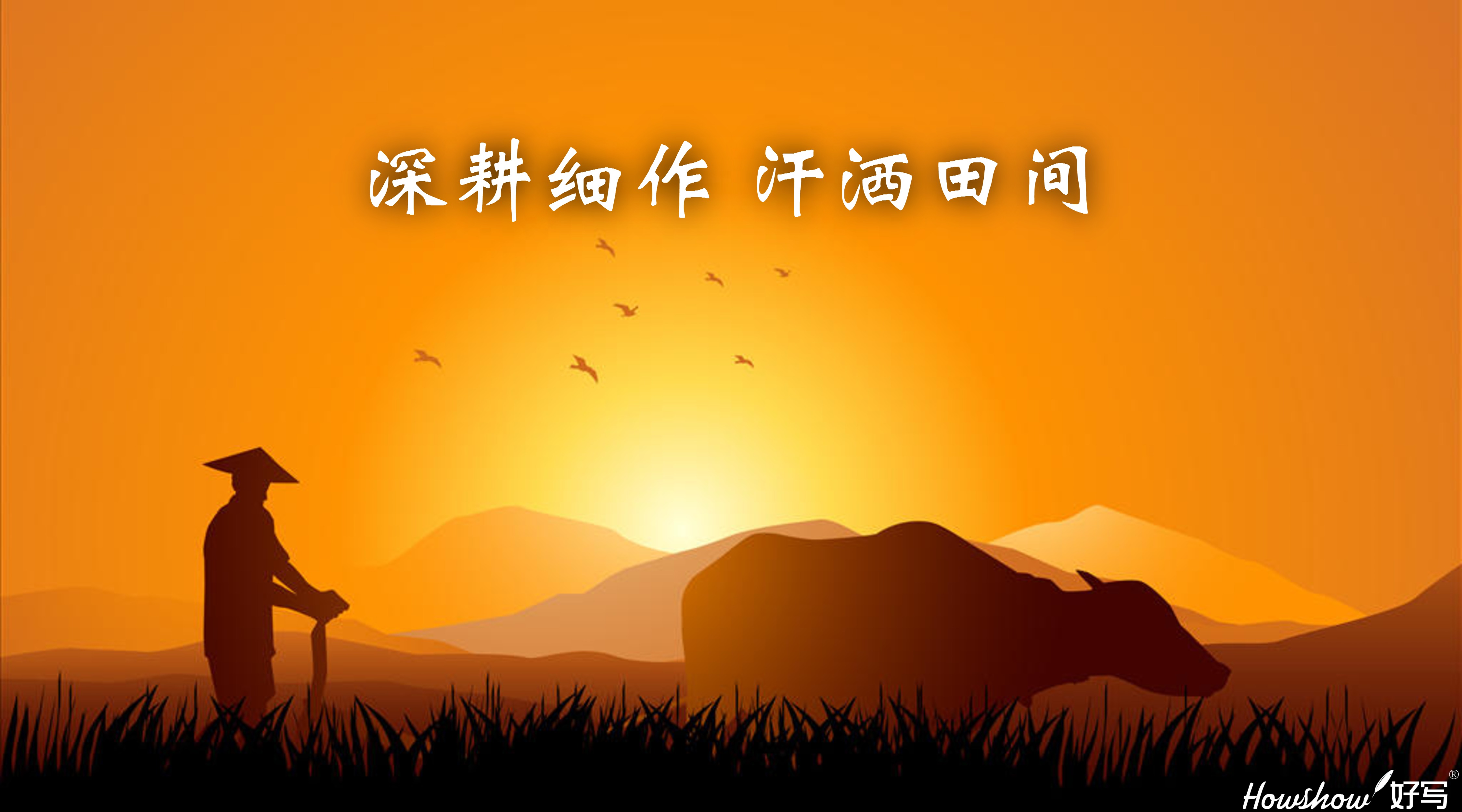 深耕細(xì)作·汗灑田間 ‖ 一場從內(nèi)到外的革新，正在好寫拉開帷幕！